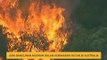 Lima bangunan musnah dalam kebakaran hutan di Australia