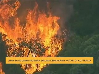Lima bangunan musnah dalam kebakaran hutan di Australia