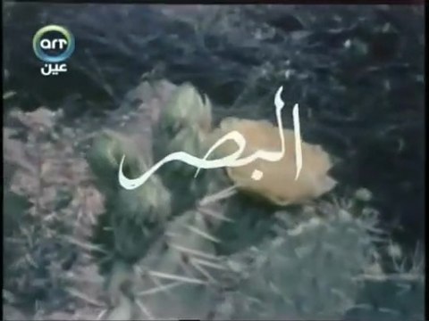 الدكتور مصطفي محمود العلم والايمان.....البصر