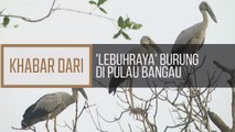 Khabar Dari Perak: 'Lebuhraya' burung di Pulau Bangau