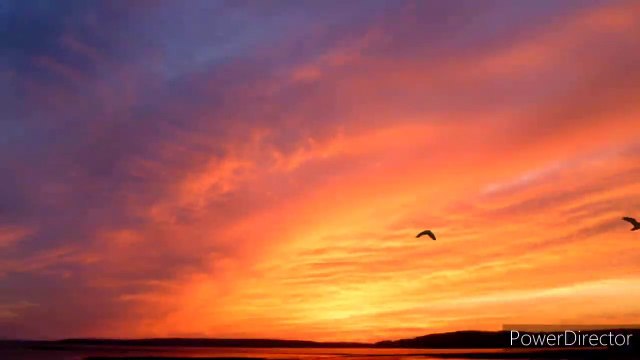 Hommage à IDIR ( le grand chanteur kabyle)