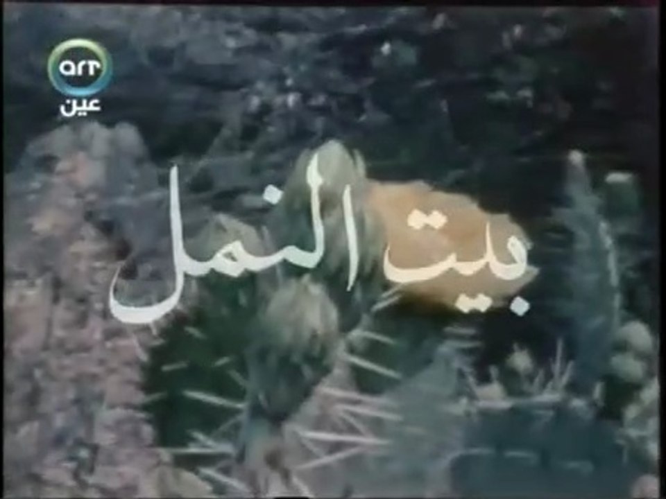 الدكتور مصطفي محمود العلم والايمان.......بيت النّمل