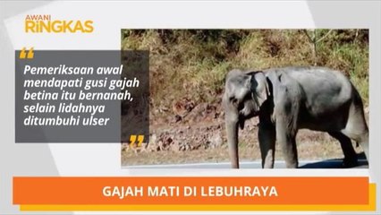 AWANI Ringkas (6:00PM)