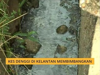 Kes denggi di Kelantan membimbangkan