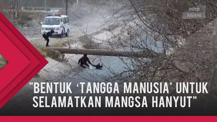 Paut berbentuk tangga untuk selamatkan mangsa hampir hanyut