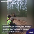 Jokowi Diduga Jadi Berkemah di Titik Nol IKN, Warganet Auto Sindir Jalanan yang Dibagusin dan Hutan yang Ditebangin