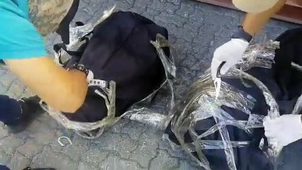 Incautan 120 paquetes de cocaína en Puerto de Haina Oriental