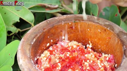 Survival in the rainforest - Cooking chicken in the forest and eating By ( World Cuisine )