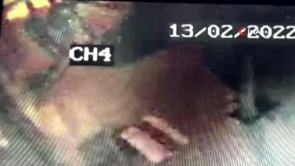 Son dakika haberi... Eskişehir'de taciz dehşeti kamerada...Evine giden kadını kolundan tutup sürükledi