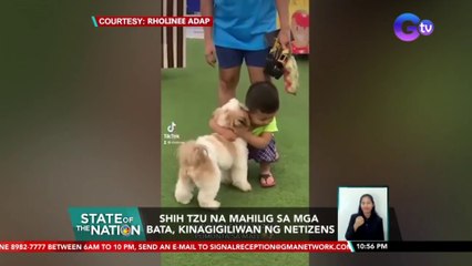 Shih tzu na mahilig sa mga bata, kinagigiliwan ng netizens | SONA