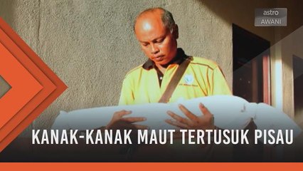 Kanak-kanak maut tertusuk pisau