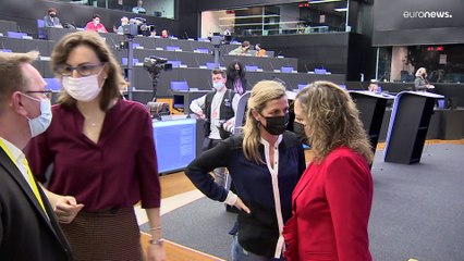 Мнения евродепутатов об Украине, России, США и НАТО