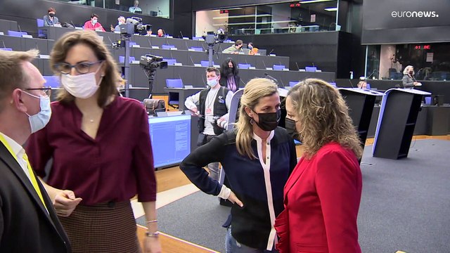 Мнения евродепутатов об Украине, России, США и НАТО