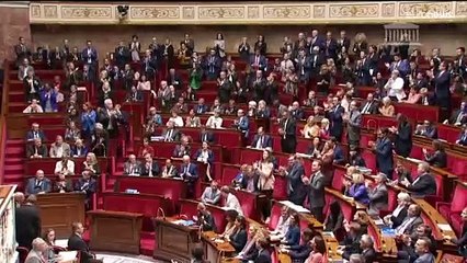 Parlamento francês aprova perdão aos "harkis"