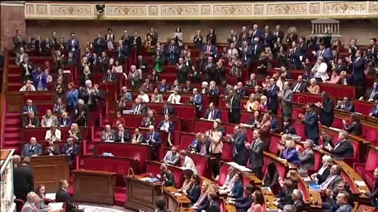 Parlamento francês aprova perdão aos "harkis"