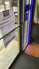 Stuck at Work Due to Feral Squirrel