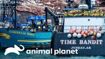 Time Bandit e Cornelia Marie se unem para pescar | Pesca Mortal | Animal Planet Brasil