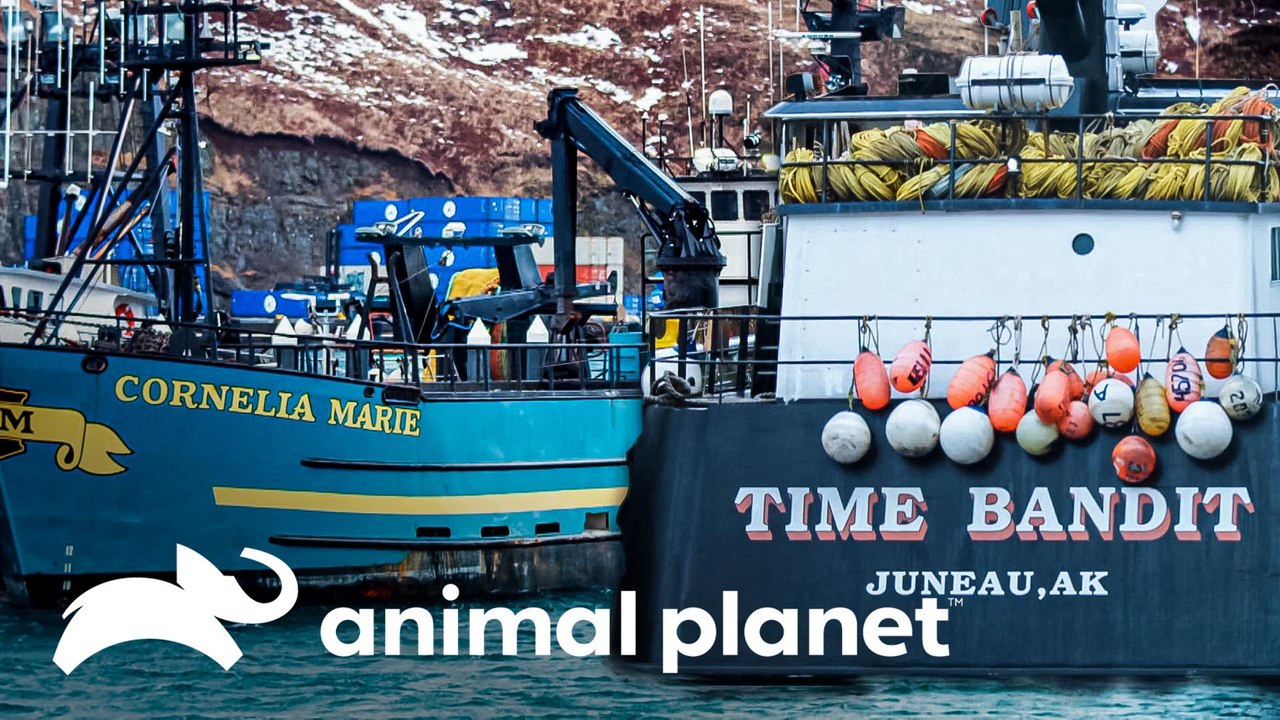Time Bandit e Cornelia Marie se unem para pescar | Pesca Mortal | Animal Planet Brasil