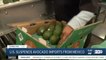 U.S. suspends avocado imports from Mexico following threat