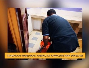 #Bualan 12 Feb: Tindakan mandikan anjing di kawasan R&R dikecam