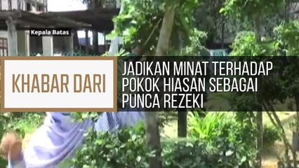 Khabar Dari P. Pinang: Suri rumah jadikan minat terhadap pokok hiasan sebagai punca rezeki