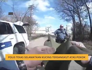 #Bualan 8 Feb: Polis Texas selamatkan kucing & Batik Fest