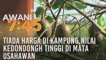 Tiada harga di kampung, nilai kedondong tinggi di mata usahawan