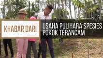 Khabar Dari Pahang: Usaha pulihara spesies pokok terancam
