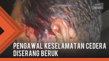 Pengawal keselamatan cedera diserang seekor beruk