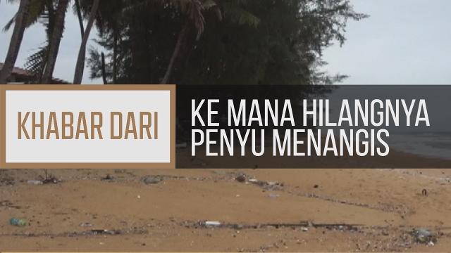 Khabar Dari Terengganu: Ke mana hilangnya penyu menangis