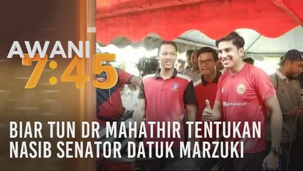 Biar Tun Dr Mahathir tentukan nasib Senator Datuk Marzuki
