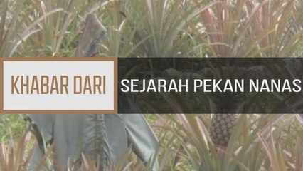 Khabar Dari Johor: Sejarah Pekan Nanas