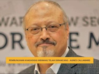 Pembunuhan Khashoggi memang telah dirancang - Agnes Callamard