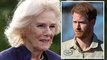 Prince Harry threatens to 'lay bare truth' of struggling relationship with Camilla in book