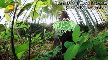 Back to field SS2 ep1 (1/3)