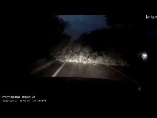 Tree Randomly Falls Down in Front of Moving Car at Night