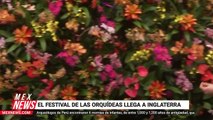 EL FESTIVAL DE LAS ORQUÍDEAS LLEGA A INGLATERRA