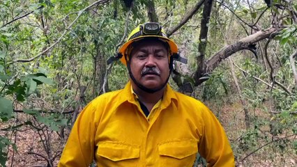 Por tercer día consecutivo, Bomberos lucha contra incendio forestal en isla guanacasteca