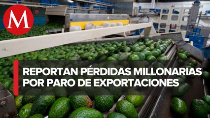 Pobladores piden aclarar reactivación de la exportación de aguacate