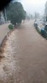 Chuvas causam deslizamentos em Petrópolis