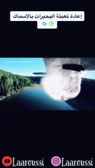 فيديوهات يجب أن تراها قبل أن تموت