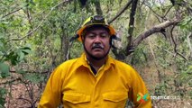 tn7-Incendio forestal en Guanacaste ya ha consumido 30 hectáreas-150222