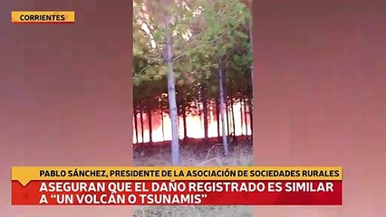 Aseguran que el daño registrado es similar a “un volcán o tsunamis”