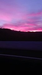 evening view
