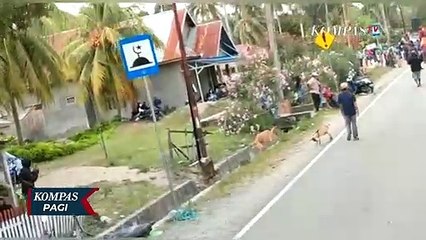 Polda Sulteng Periksa 17 Personel Polri, Cari Tahu Siapa Penembak Pendemo di Parigi Moutong