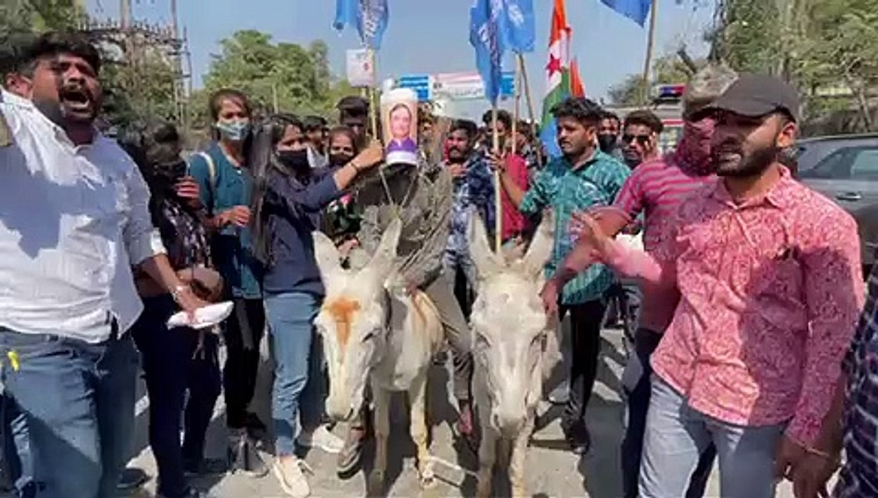 वीडियो में देखिए…साथ में गधे लेकर पहुँच गए कलक्ट्रेट