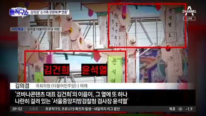 김의겸 “소가죽 굿판에 윤석열 부부 연등”