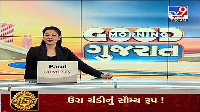 Video of 2 lions roaming in fields of Amreli's village goes viral _ TV9News