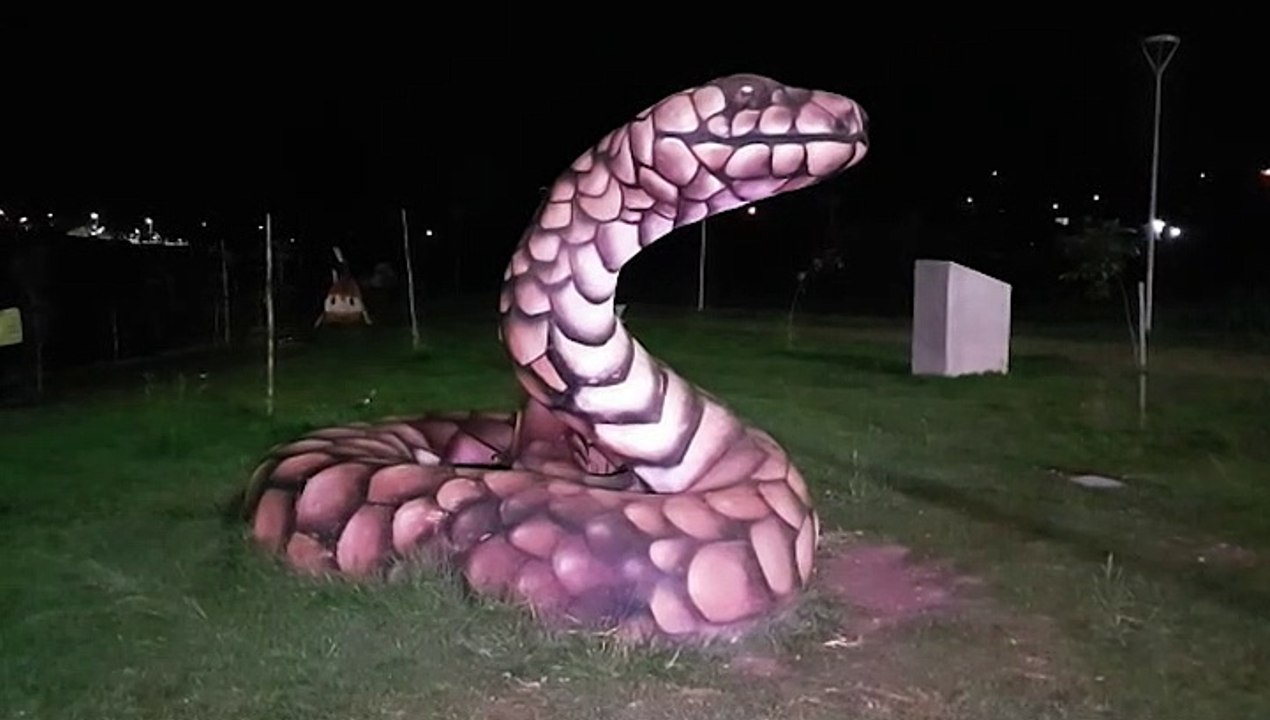 Ecopark Santa Cruz está com mato alto e com áreas com as luzes apagadas
