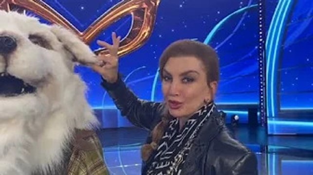 Il cantante mascherato, chi è il Pastore Maremmano Milly Carlucci Il colore è un indizio C'è anc